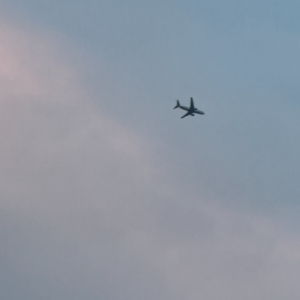 vol.6 夏日特辑:我们对夏天充满期待!