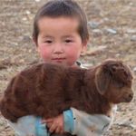 杨生-