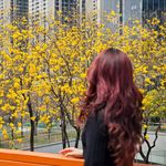 Tian呐-