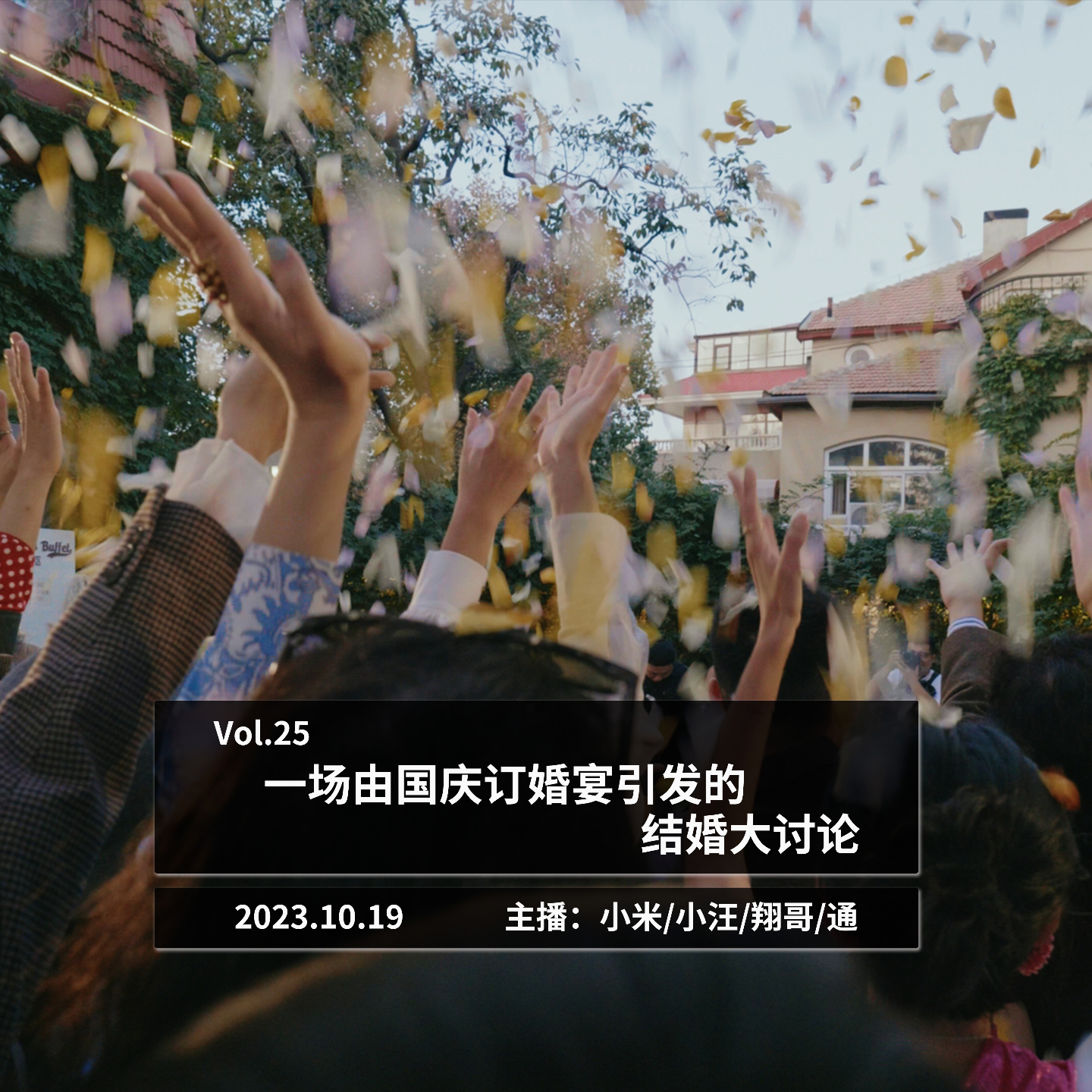 一场由国庆订婚宴引发的结婚大讨论 episode artwork