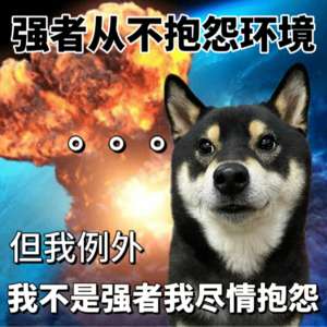 VOL.30：来玩儿个大的，曝一曝自己的瓜🍉
