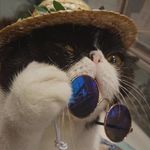 杳杳花见时