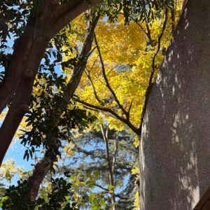 2025要结束了，推心置腹和你聊聊