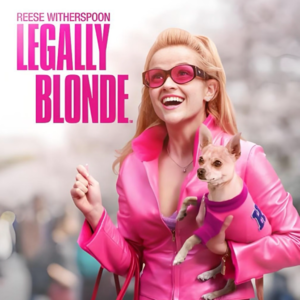 Vol.43「电影推荐」小妞电影里的女生力量