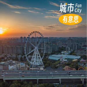 22. 从锦江乐园到迪士尼,在游乐园里找回天真