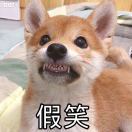 修狗勾不骗修狗勾