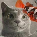 路荣
