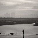 瓦尔登湖的老渔夫