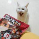 书盆