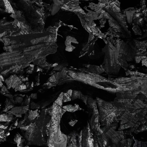 草东没有派对：我爱你，可惜关系变成没关系