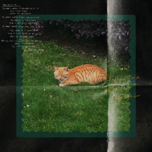 近期红心推荐 扔掉所有昨天和自己约会