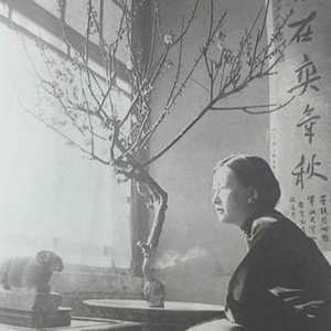 第4期:林徽因⛈风吹雨打也无悔(中)