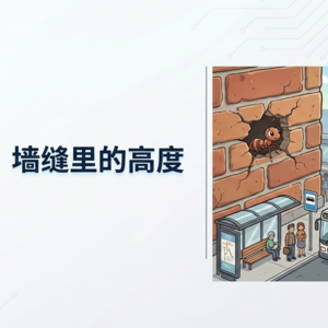 墙缝里的高度