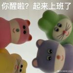 姐就是女王0