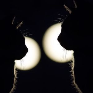 podcaster-avatar