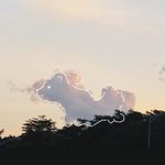 抹茶奶盖不加糖