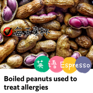 【21】煮熟的花生治疗过敏反应