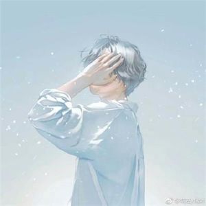 观B站食贫道充电视频有感：不同国家与地区的社会观察