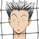 宛平南路不开花