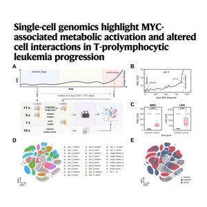 1634-Evolution of T-Prolymphocytic Leukemia Progression