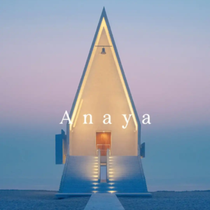 Vol.69 阿那亚凭什么成功