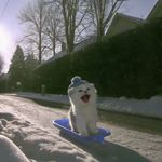 小獭不懒进阶版