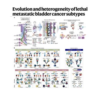 1670-Evolution of Lethal Metastatic Bladder Cancer Subtypes