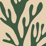 盐汽水怪怪怪的