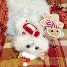 士多啤梨苹果橙_fKfb