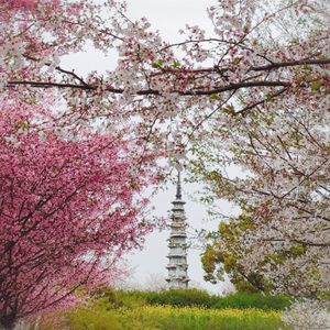 No 20. 适合踏青的白塔公园，历史长河中有这么多故事