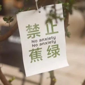 Vol.44 中金跳楼事件｜月薪4万，为何更焦虑？