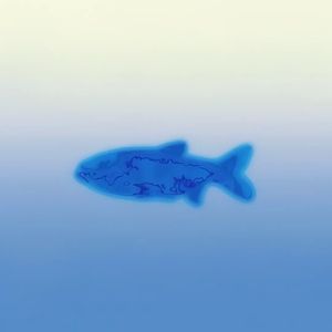 podcaster-avatar
