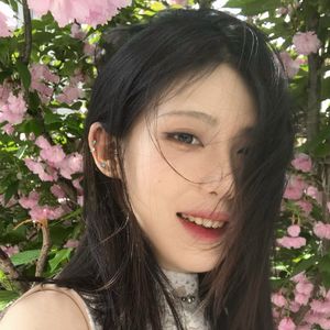 夫子我不做圣贤了