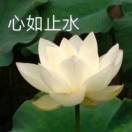 心如止水_Gn5O