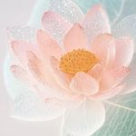 丁柃亦