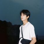 西奈半岛的月光