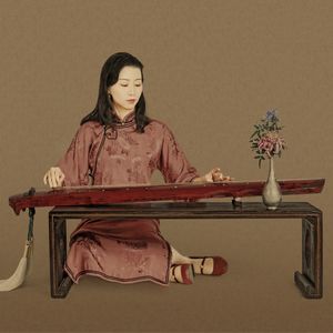 山山说琴