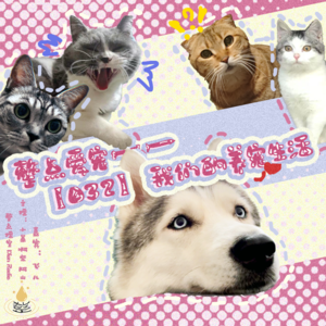 032.整点爱宠——我们的养宠生活