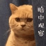 烟雨微醺