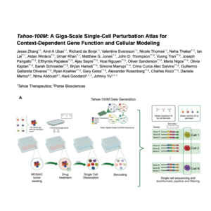 016-Tahoe-100M: A Giga-Scale Single-Cell Perturbation Atlas