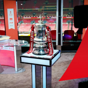 【无双优选】PL.101 【足总杯第五轮】英甲垫底爆冷英超，死侍督战蓝军发毛