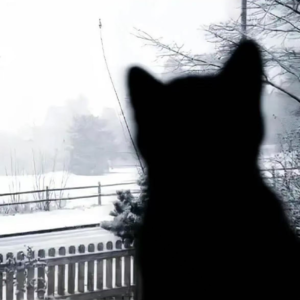 Vol.38|你离开杭州,从此没人和我说话