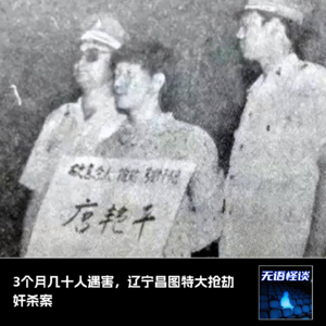 03|辽宁昌图特大抢劫奸杀案