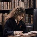 花生了什么树_motM