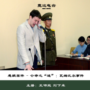 6.亡命之“途”(2):瓦姆比尔的朝鲜跨年游|五一小长假特别节目