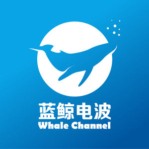 蓝鲸电波