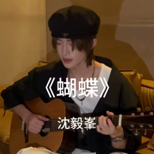 蝴蝶（dy弹唱版）