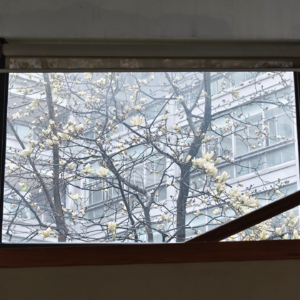 Vol.17 | A Psalm of Life