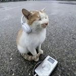 勤奋聪慧小森