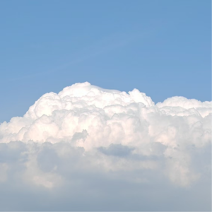 NO.025 我常以为是众生度化了佛祖